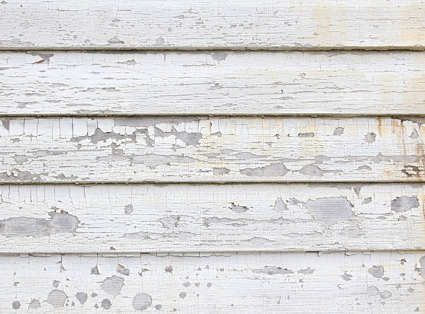 Best Hoarding Cleanup  in Loughman, FL